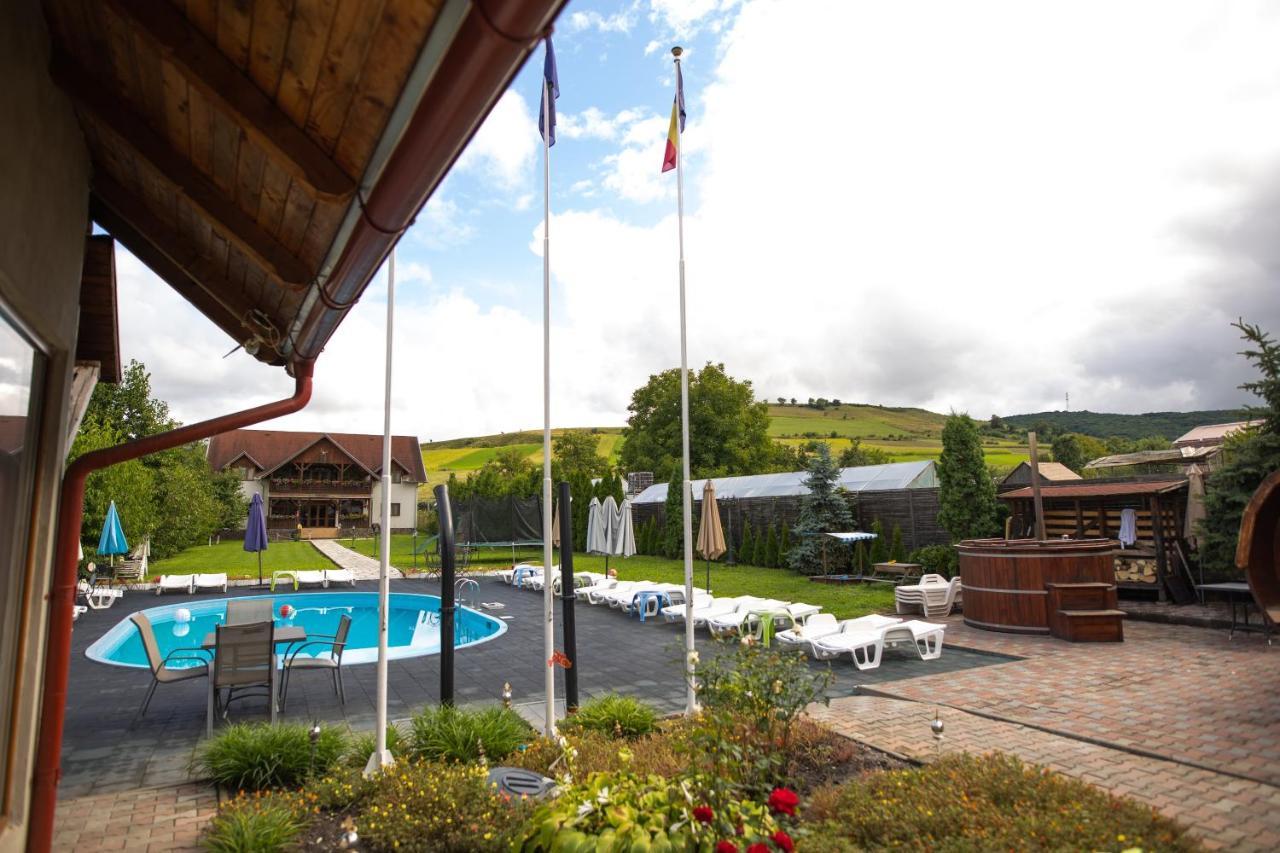 Pensiunea Sachsenhof Bagaciu Extérieur photo