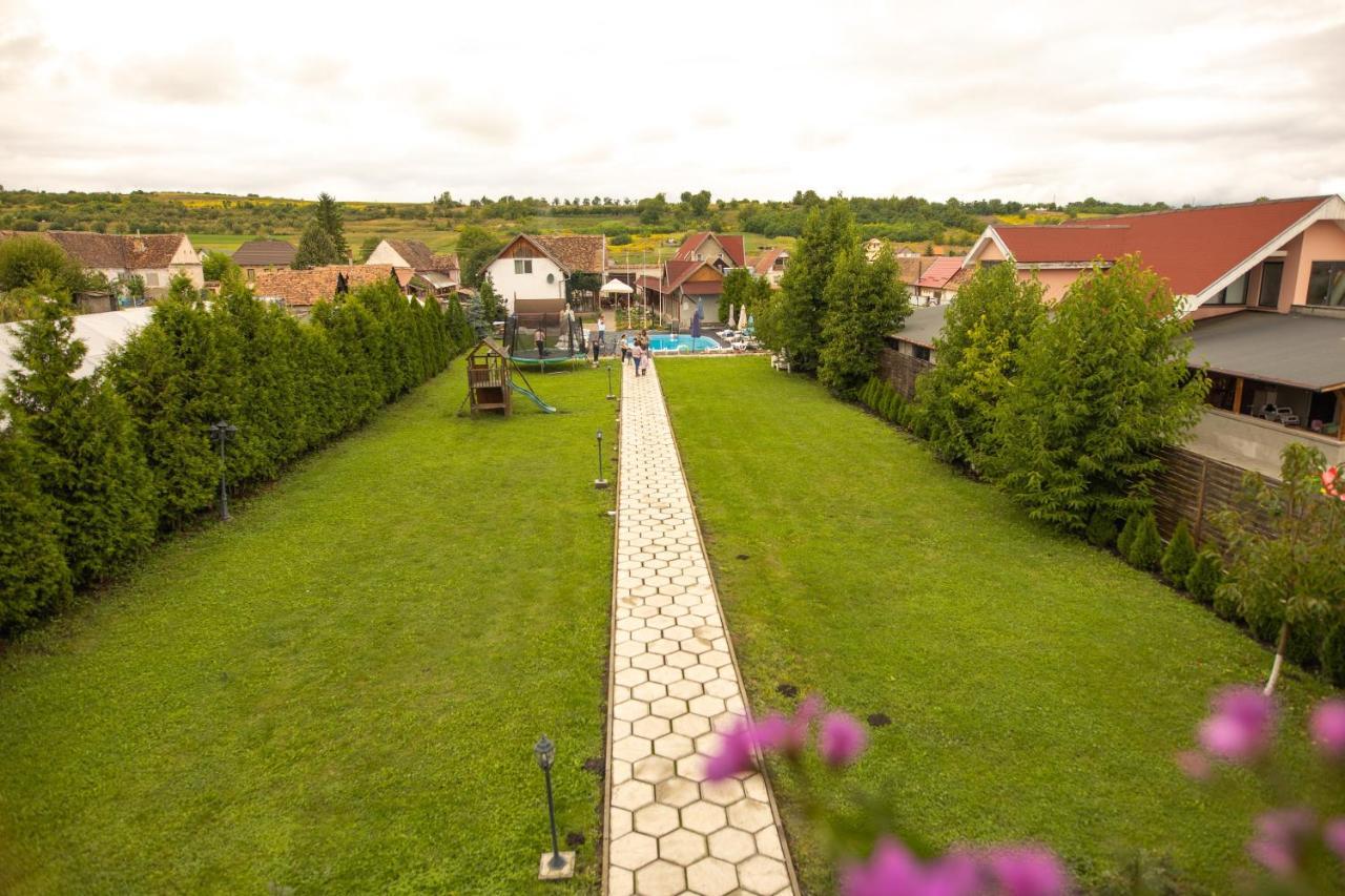 Pensiunea Sachsenhof Bagaciu Extérieur photo