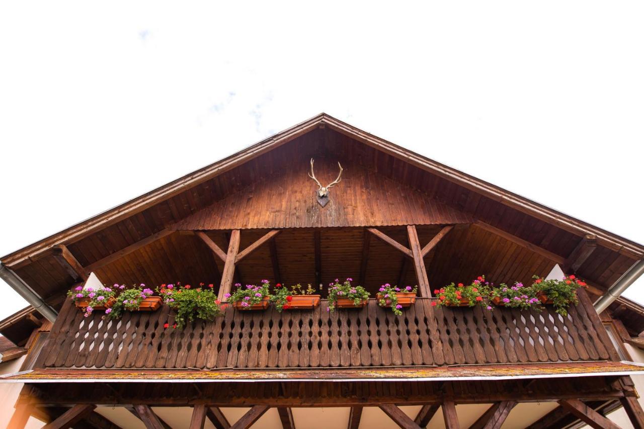 Pensiunea Sachsenhof Bagaciu Extérieur photo